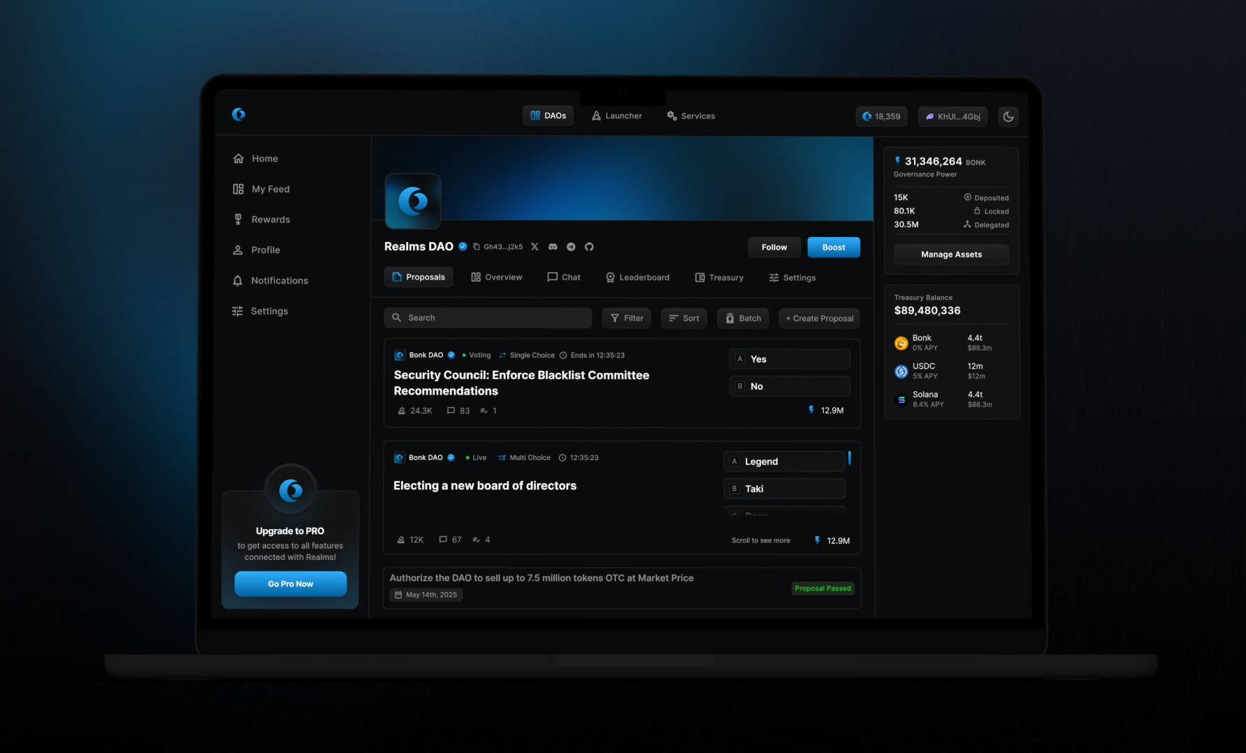 Realms DAO overview screen